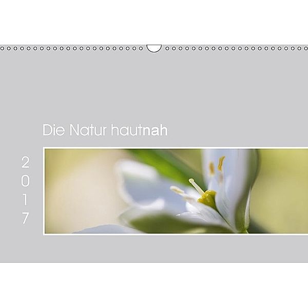 Die Natur hautnah (Wandkalender 2017 DIN A3 quer), Martina Strudl