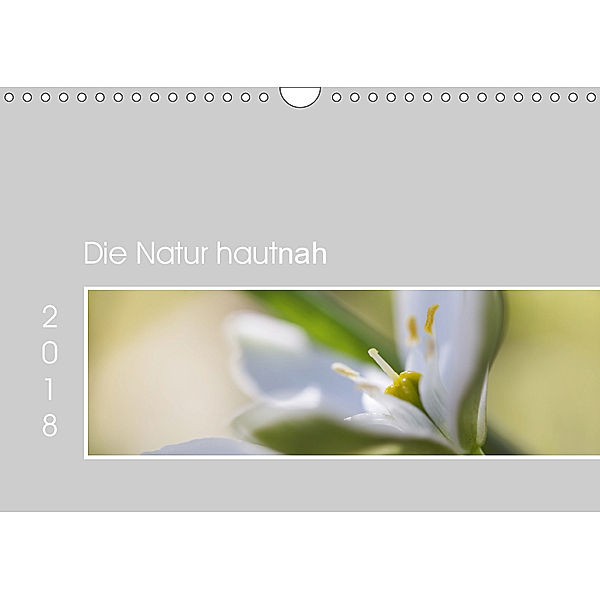 Die Natur hautnah (Wandkalender 2019 DIN A4 quer), Martina Strudl