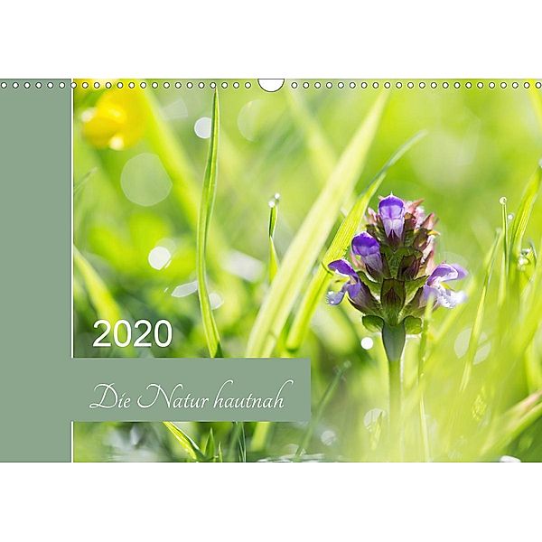 Die Natur hautnah (Wandkalender 2020 DIN A3 quer), Martina Strudl