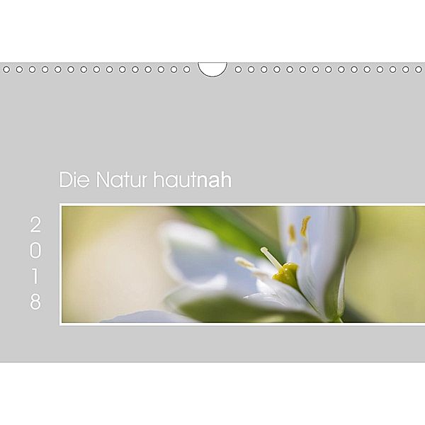 Die Natur hautnah (Wandkalender 2020 DIN A4 quer), Martina Strudl