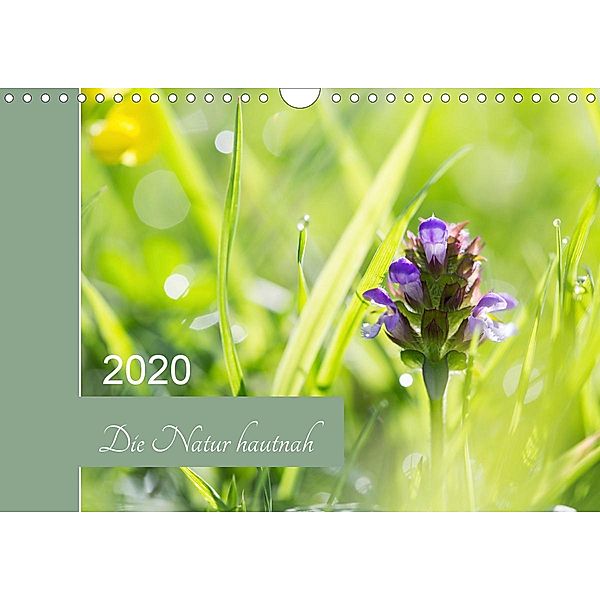 Die Natur hautnah (Wandkalender 2020 DIN A4 quer), Martina Strudl