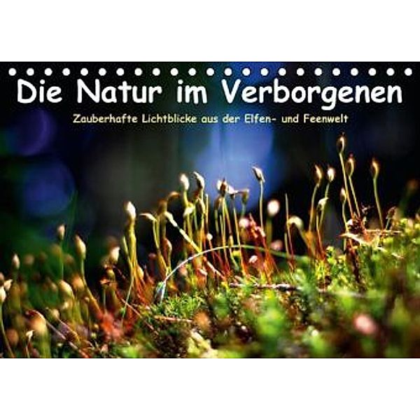 Die Natur im Verborgenen (Tischkalender 2016 DIN A5 quer), Elvira Voss