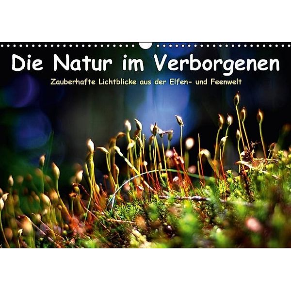 Die Natur im Verborgenen (Wandkalender 2017 DIN A3 quer), Elvira Voss