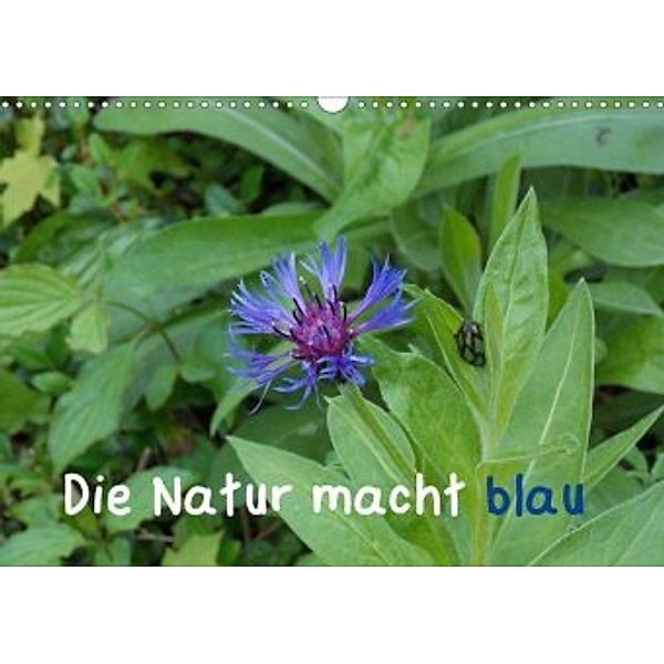 Die Natur macht blau (Wandkalender 2020 DIN A3 quer), Stephanie Sokoll