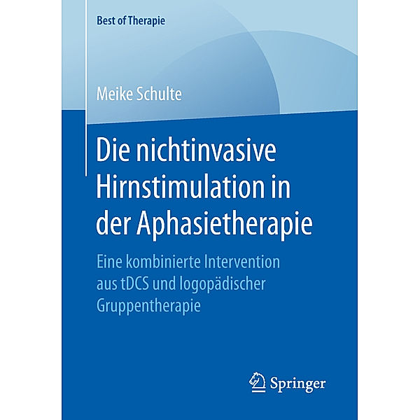 Die nichtinvasive Hirnstimulation in der Aphasietherapie, Meike Schulte