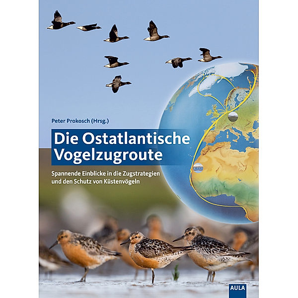 Die Ostatlantische Vogelzugroute