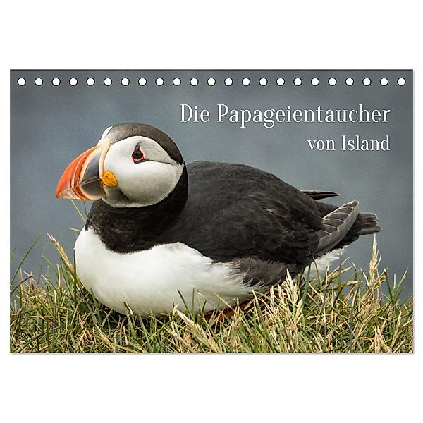 Die Papageientaucher von Island (Tischkalender 2024 DIN A5 quer), CALVENDO Monatskalender, Inxtagenumdiewelt