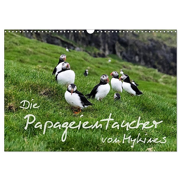 Die Papageientaucher von Mykines (Wandkalender 2024 DIN A3 quer), CALVENDO Monatskalender, Sören Gelbe-Haussen
