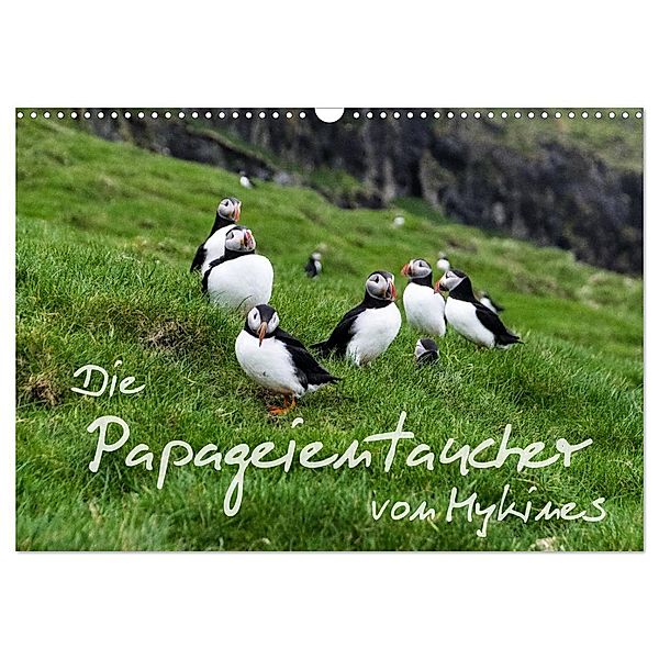 Die Papageientaucher von Mykines (Wandkalender 2024 DIN A3 quer), CALVENDO Monatskalender, Sören Gelbe-Haußen