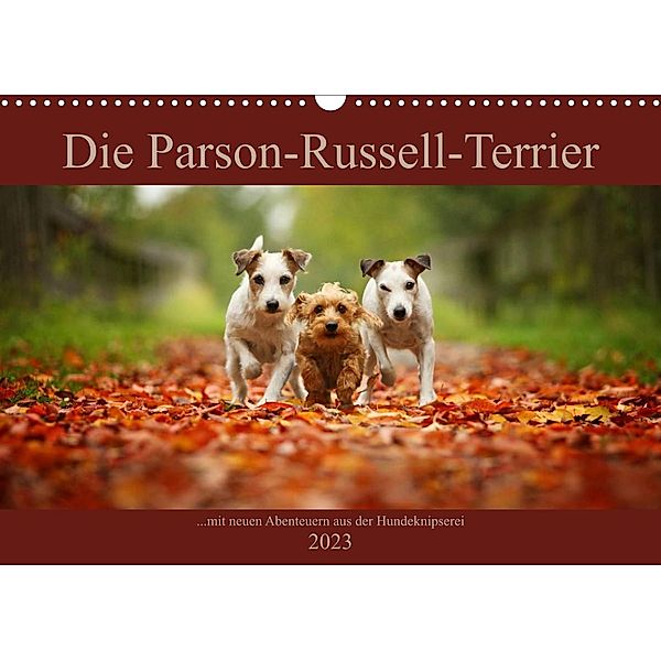 Die Parson-Russell-Terrier ...mit neuen Abenteuern aus der Hundeknipserei (Wandkalender 2023 DIN A3 quer), Kathrin Köntopp