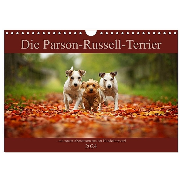 Die Parson-Russell-Terrier ...mit neuen Abenteuern aus der Hundeknipserei (Wandkalender 2024 DIN A4 quer), CALVENDO Monatskalender, Kathrin Köntopp