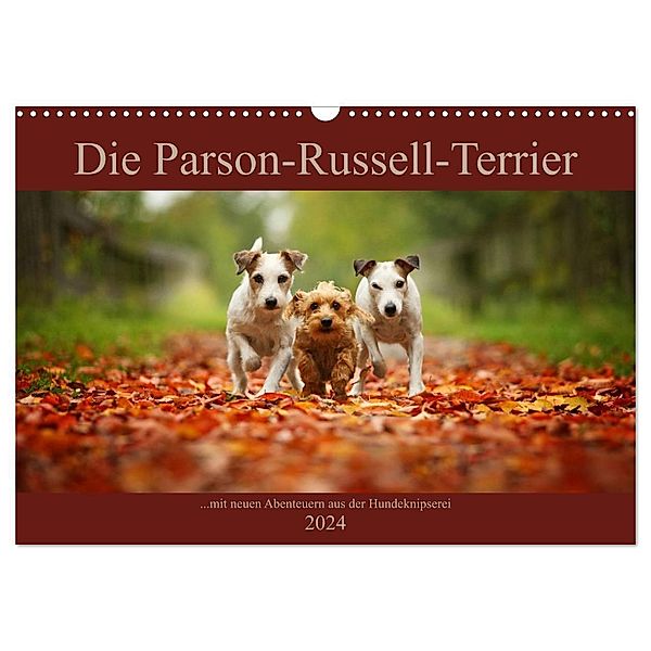 Die Parson-Russell-Terrier ...mit neuen Abenteuern aus der Hundeknipserei (Wandkalender 2024 DIN A3 quer), CALVENDO Monatskalender, Kathrin Köntopp