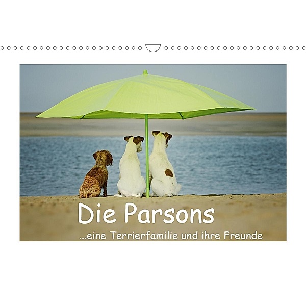 Die Parsons (Wandkalender 2021 DIN A3 quer), Kathrin Köntopp