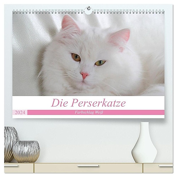 Die Perserkatze - Farbschlag Weiss (hochwertiger Premium Wandkalender 2024 DIN A2 quer), Kunstdruck in Hochglanz, Arno Klatt