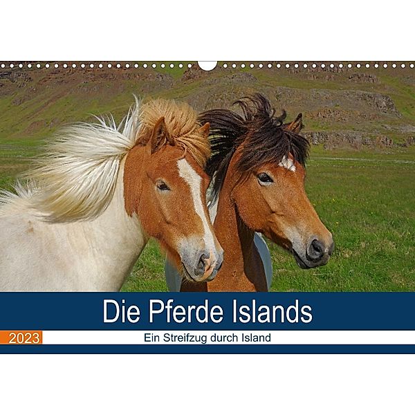 Die Pferde Islands - Ein Streifzug durch Island (Wandkalender 2023 DIN A3 quer), Reinhard Pantke