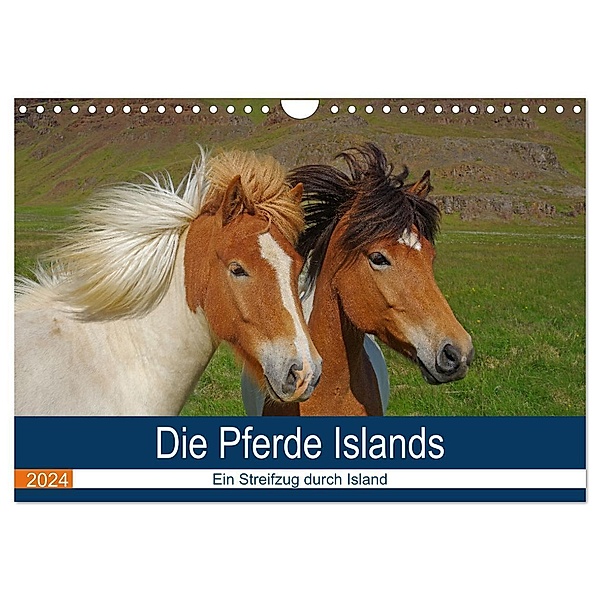 Die Pferde Islands - Ein Streifzug durch Island (Wandkalender 2024 DIN A4 quer), CALVENDO Monatskalender, Reinhard Pantke