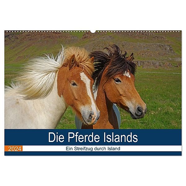 Die Pferde Islands - Ein Streifzug durch Island (Wandkalender 2024 DIN A2 quer), CALVENDO Monatskalender, Reinhard Pantke