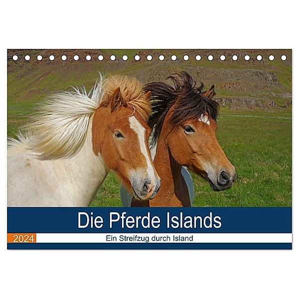 Die Pferde Islands - Ein Streifzug durch Island (Tischkalender 2024 DIN A5 quer), CALVENDO Monatskalender, Reinhard Pantke