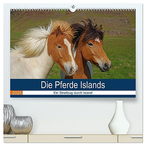 Die Pferde Islands - Ein Streifzug durch Island (hochwertiger Premium Wandkalender 2025 DIN A2 quer), Kunstdruck in Hochglanz, Calvendo, Reinhard Pantke