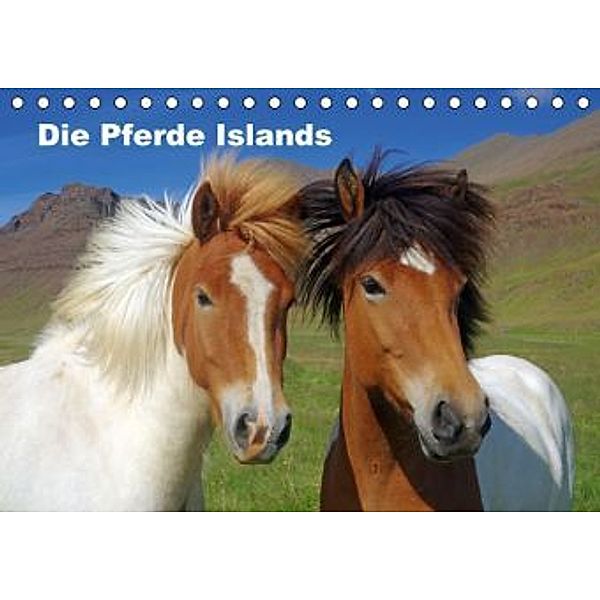 Die Pferde Islands (Tischkalender 2016 DIN A5 quer), Reinhard Pantke
