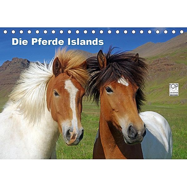 Die Pferde Islands (Tischkalender 2021 DIN A5 quer), Reinhard Pantke