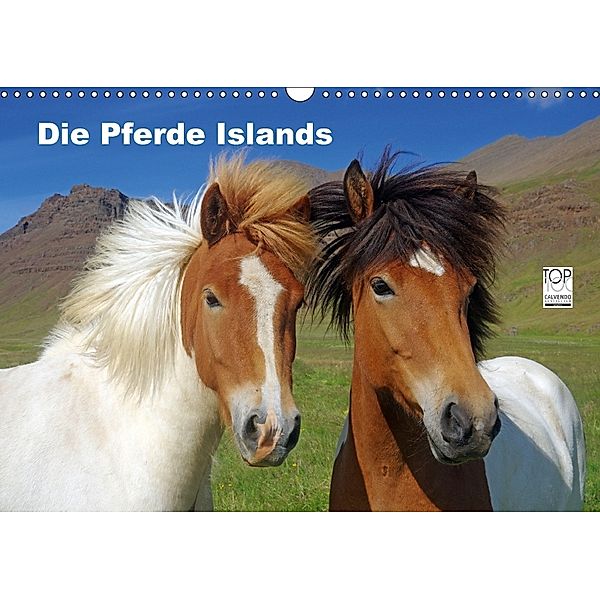 Die Pferde Islands (Wandkalender 2018 DIN A3 quer), Reinhard Pantke
