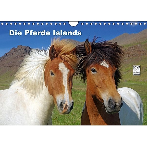 Die Pferde Islands (Wandkalender 2018 DIN A4 quer), Reinhard Pantke
