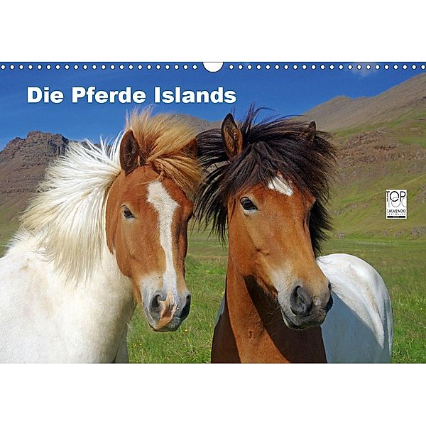 Die Pferde Islands (Wandkalender 2021 DIN A3 quer), Reinhard Pantke