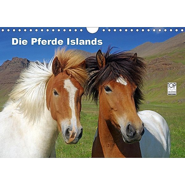 Die Pferde Islands (Wandkalender 2021 DIN A4 quer), Reinhard Pantke