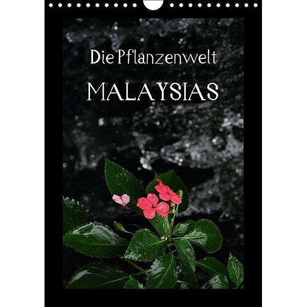 Die Pflanzwenwelt Malaysias (Wandkalender 2017 DIN A4 hoch), Daniel Lustig