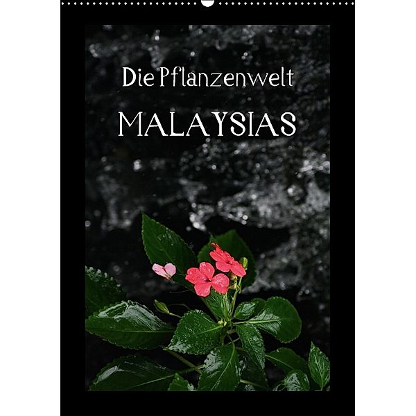 Die Pflanzwenwelt Malaysias (Wandkalender 2018 DIN A2 hoch), Daniel Lustig