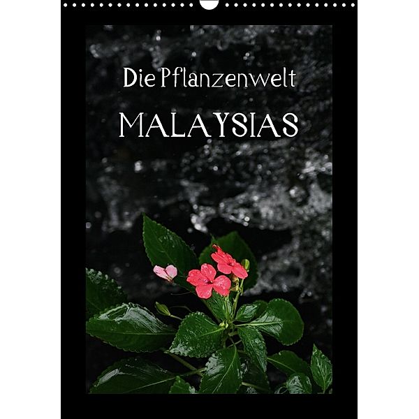 Die Pflanzwenwelt Malaysias (Wandkalender 2018 DIN A3 hoch), Daniel Lustig