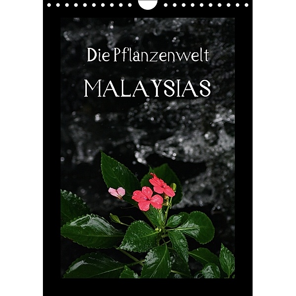 Die Pflanzwenwelt Malaysias (Wandkalender 2018 DIN A4 hoch), Daniel Lustig