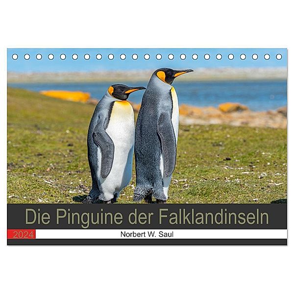 Die Pinguine der Falklandinseln (Tischkalender 2024 DIN A5 quer), CALVENDO Monatskalender, Norbert W. Saul