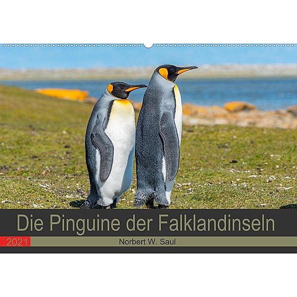 Die Pinguine der Falklandinseln (Wandkalender 2021 DIN A2 quer), Norbert W. Saul