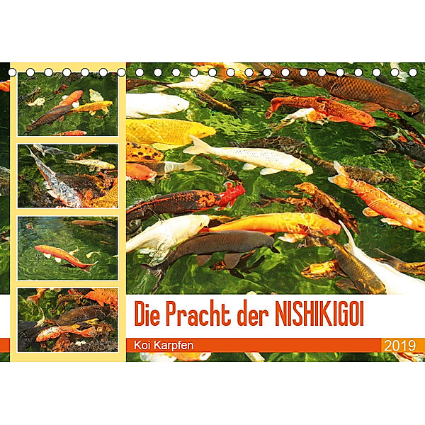 Die Pracht der NISHIKIGOI - Koi Karpfen (Tischkalender 2019 DIN A5 quer), Katrin Lantzsch