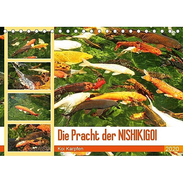 Die Pracht der NISHIKIGOI - Koi Karpfen (Tischkalender 2020 DIN A5 quer), Katrin Lantzsch