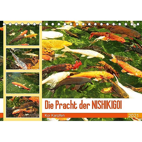 Die Pracht der NISHIKIGOI - Koi Karpfen (Tischkalender 2021 DIN A5 quer), Katrin Lantzsch