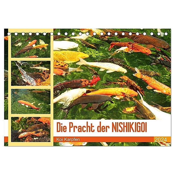 Die Pracht der NISHIKIGOI - Koi Karpfen (Tischkalender 2024 DIN A5 quer), CALVENDO Monatskalender, Katrin Lantzsch