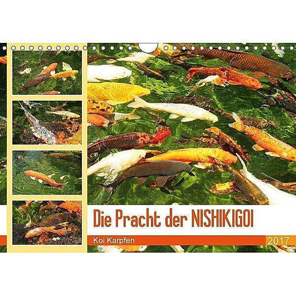 Die Pracht der NISHIKIGOI - Koi Karpfen (Wandkalender 2017 DIN A4 quer), Katrin Lantzsch