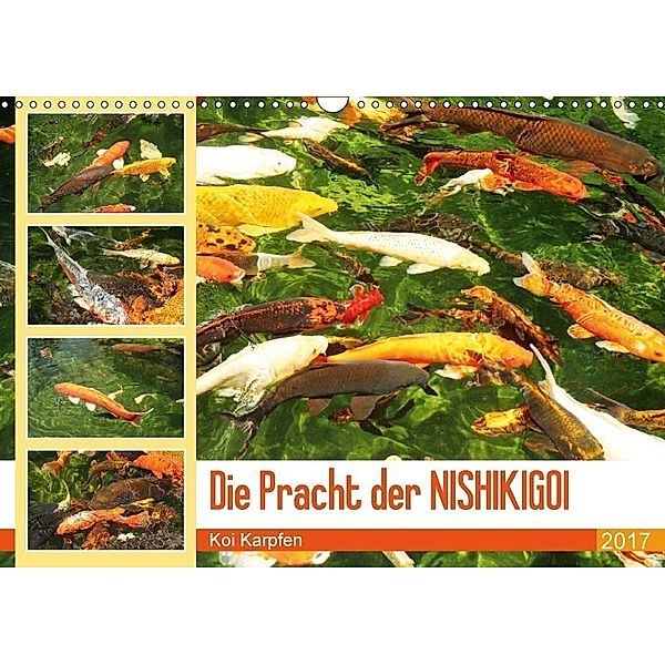 Die Pracht der NISHIKIGOI - Koi Karpfen (Wandkalender 2017 DIN A3 quer), Katrin Lantzsch