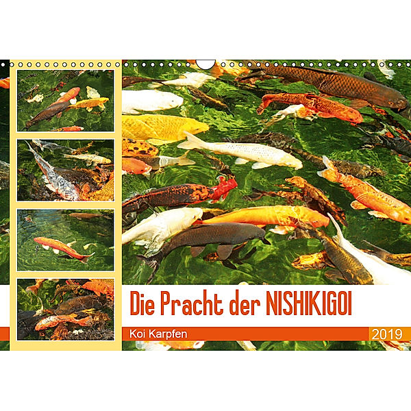 Die Pracht der NISHIKIGOI - Koi Karpfen (Wandkalender 2019 DIN A3 quer), Katrin Lantzsch