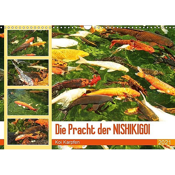 Die Pracht der NISHIKIGOI - Koi Karpfen (Wandkalender 2021 DIN A3 quer), Katrin Lantzsch