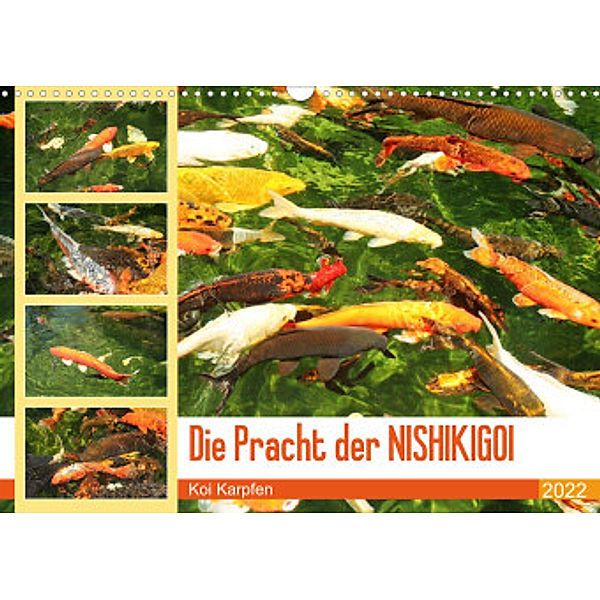 Die Pracht der NISHIKIGOI - Koi Karpfen (Wandkalender 2022 DIN A3 quer), Katrin Lantzsch