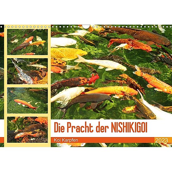 Die Pracht der NISHIKIGOI - Koi Karpfen (Wandkalender 2023 DIN A3 quer), Katrin Lantzsch