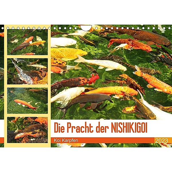 Die Pracht der NISHIKIGOI - Koi Karpfen (Wandkalender 2023 DIN A4 quer), Katrin Lantzsch