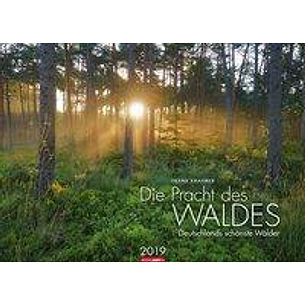 Die Pracht des Waldes 2019, Frank Krahmer