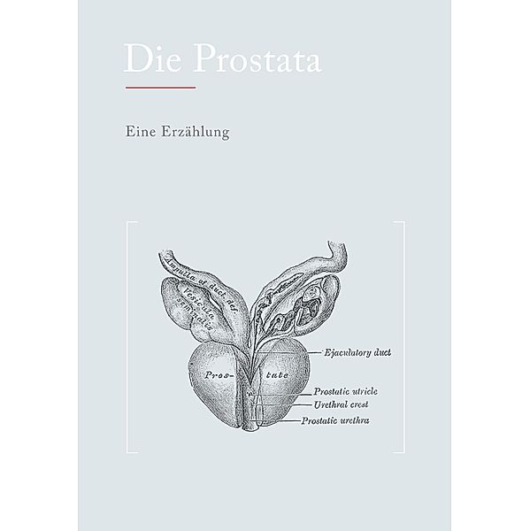 Die Prostata, N. N.