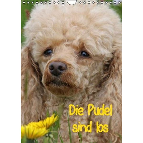 Die Pudel sind los / AT-Version (Wandkalender 2015 DIN A4 hoch), Antje Lindert-Rottke