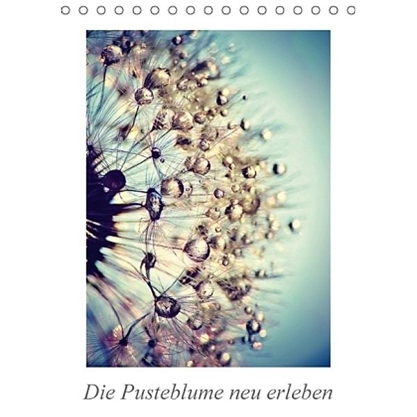 Die Pusteblume neu erleben (Tischkalender 2017 DIN A5 hoch), Julia Delgado